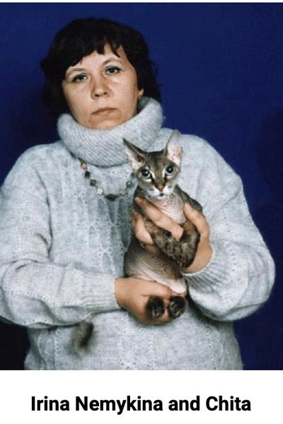 Histoire du Donskoy - Photo 3