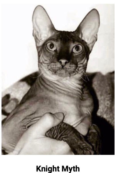 Histoire du Donskoy - Photo 9