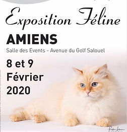 Animox - Salon des Animaux Nîmes 2020